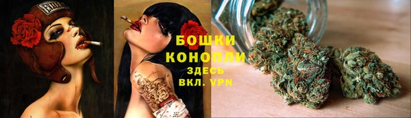 шишки Дмитровск