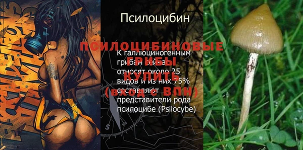 метадон Дмитров