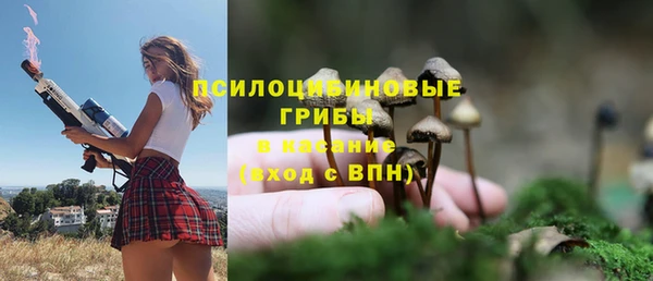 СК Дмитриев