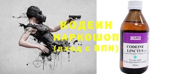 шишки Дмитровск