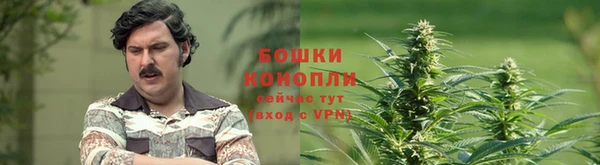 шишки Дмитровск