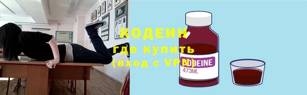 шишки Дмитровск