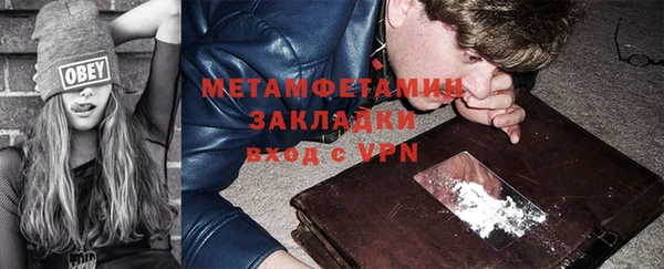 шишки Дмитровск