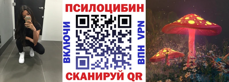 хочу наркоту  Перевоз  Псилоцибиновые грибы Psilocybe 